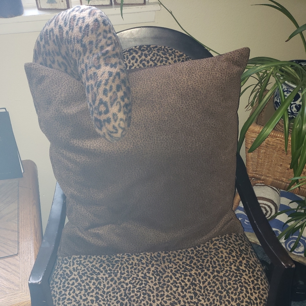 Animal print, large, pillow, zipper, clean